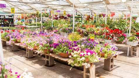 7 top garden centers in the Wasatch Front, according to Yelp.